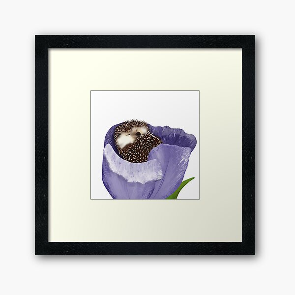 Cute Hedgehog Sleeping In Purple Tulip Framed Art Print