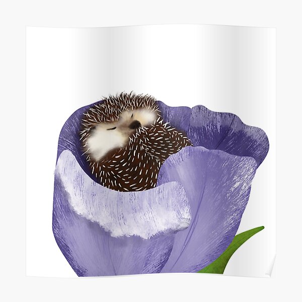 Cute Hedgehog Sleeping In Purple Tulip Poster