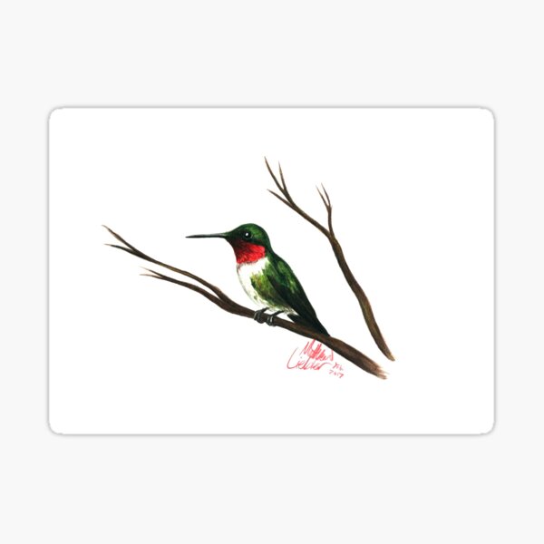 Ruby Throated Hummingbird Sticker