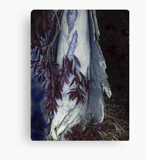 Bottle brush Canvas Print