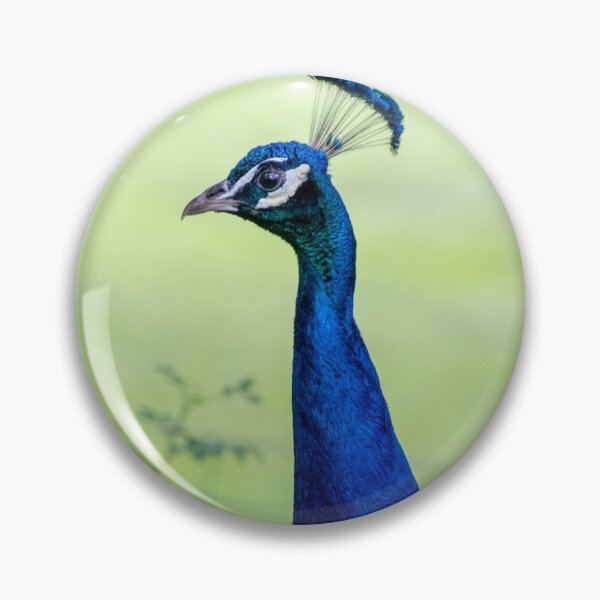 Item preview, Portrait of a Peacock designed and sold by bittervictory.