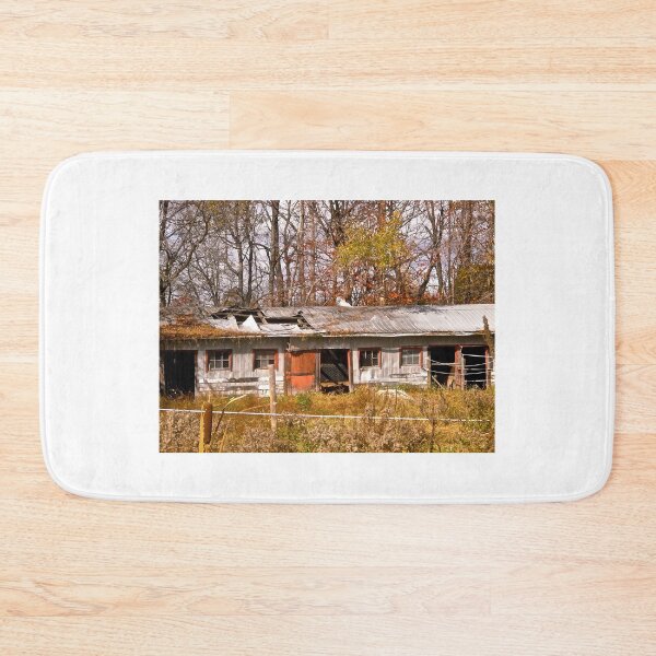 Item preview, Dilapidated Barn designed and sold by Shulie1.