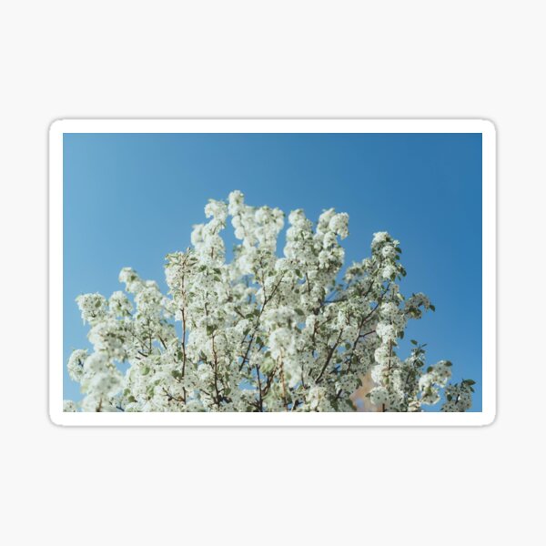 Item preview, spring flowers designed and sold by reiwren.