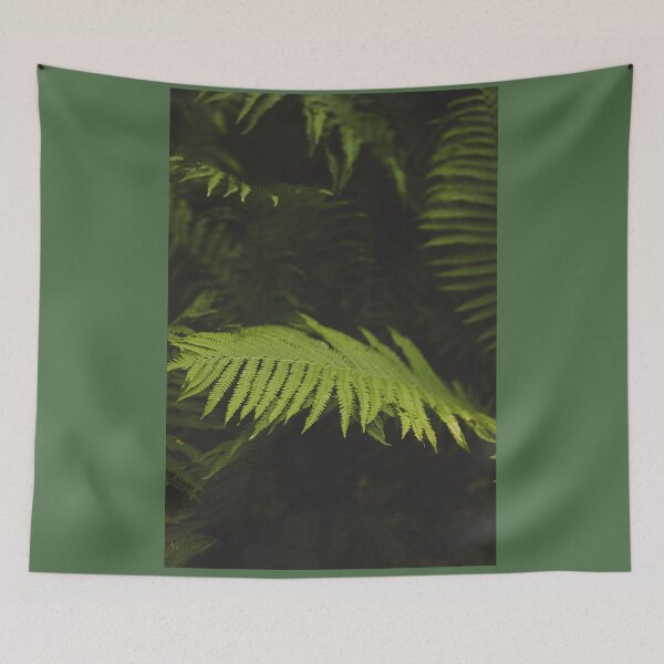Item preview, ferns  designed and sold by reiwren.