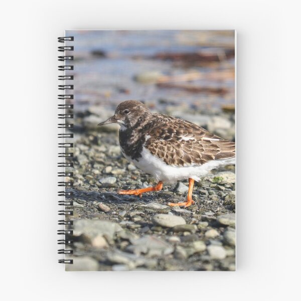 Item preview, Turnstone strut designed and sold by GreyFeatherPhot.