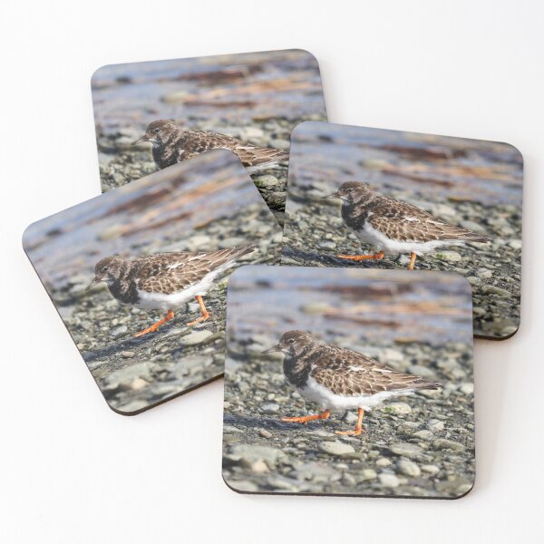 Item preview, Turnstone strut designed and sold by GreyFeatherPhot.