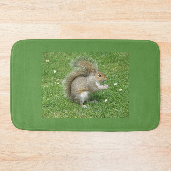 Item preview, Cute Grey Squirrel and Daisies Photograph designed and sold by naturegallery.