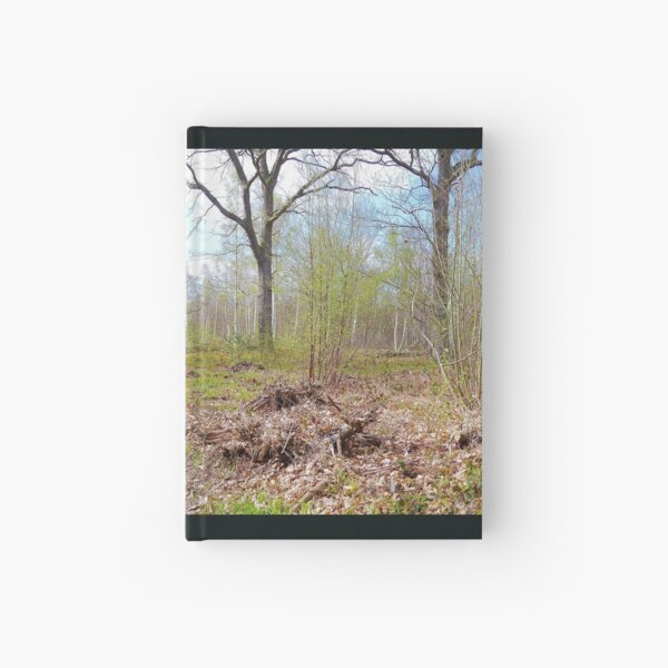 Woodland Hardcover Journal