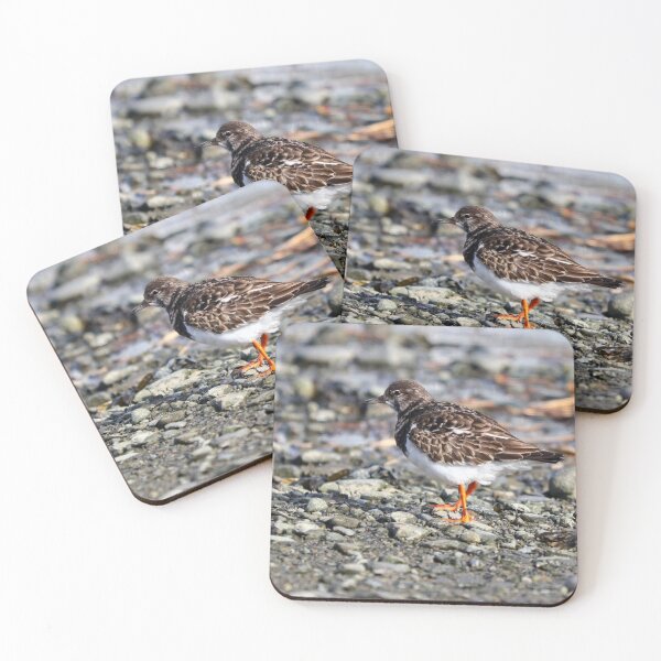 Item preview, Turnstone - Arenaria interpres designed and sold by GreyFeatherPhot.