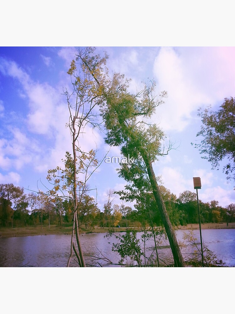 Park by amak