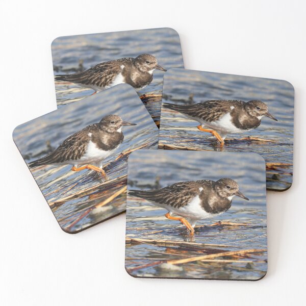 Item preview, Wading turnstone designed and sold by GreyFeatherPhot.