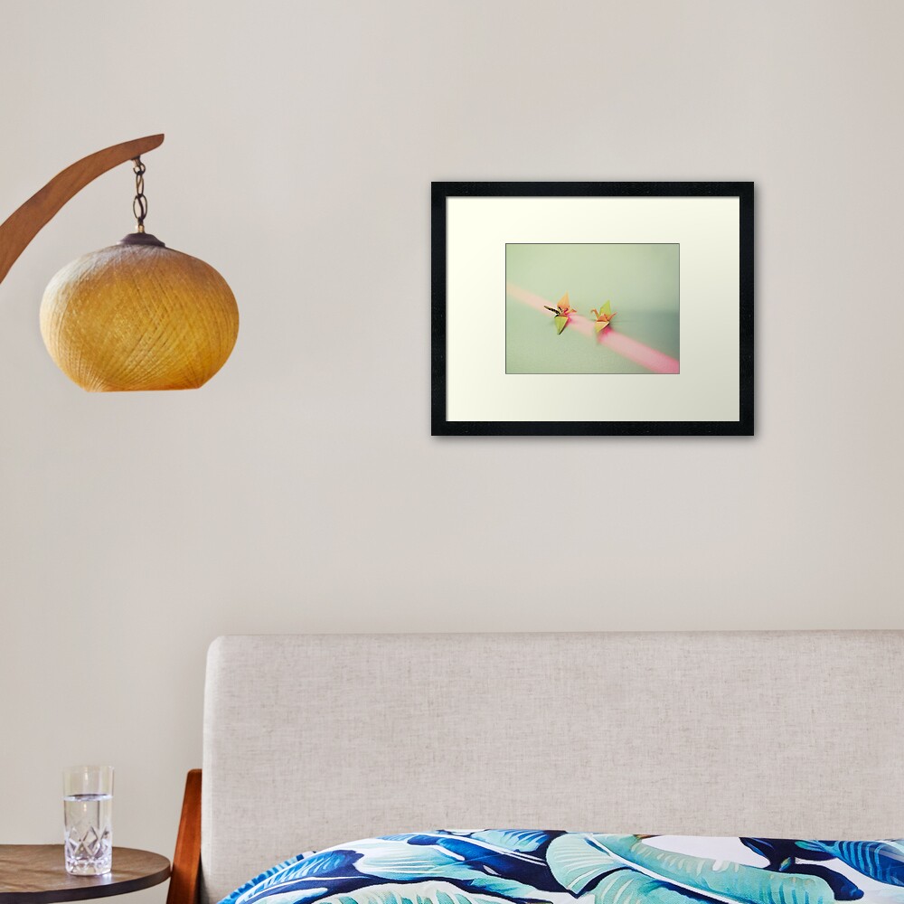Birds Framed Art Print