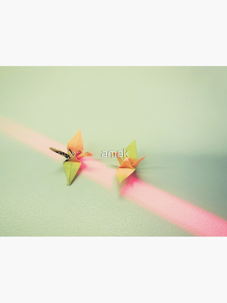 Birds by amak