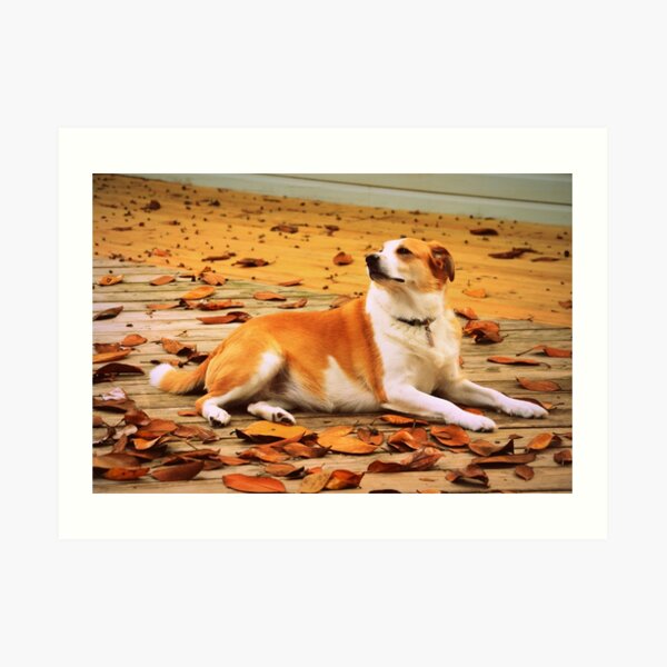 Art Print