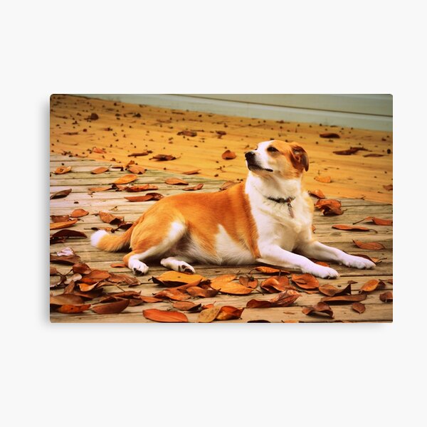 Canvas Print