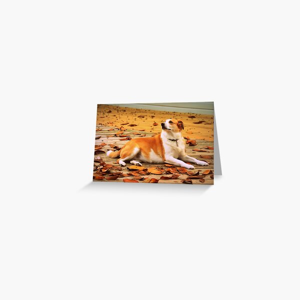 Greeting Card