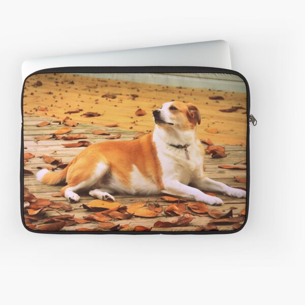 Laptop Sleeve
