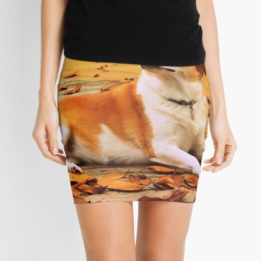 Mini Skirt