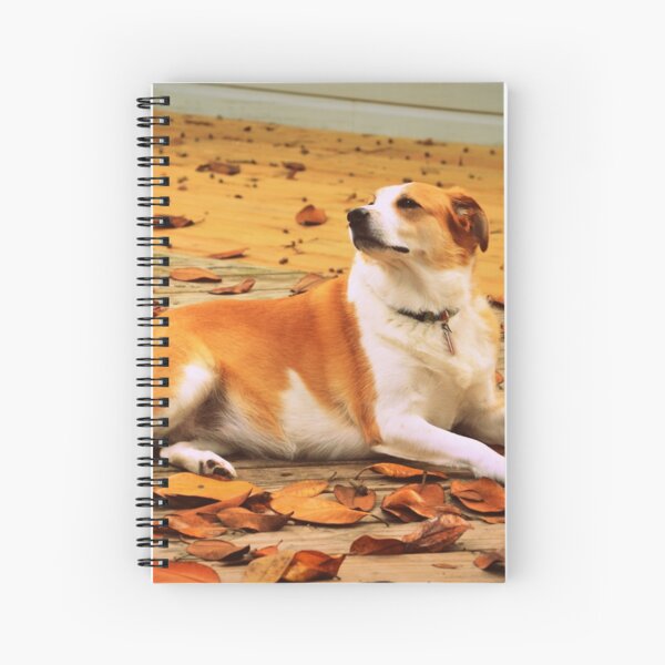 Spiral Notebook