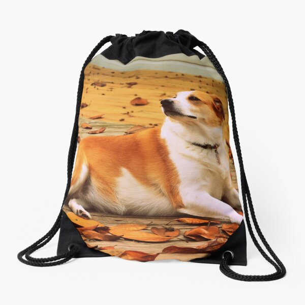 Drawstring Bag