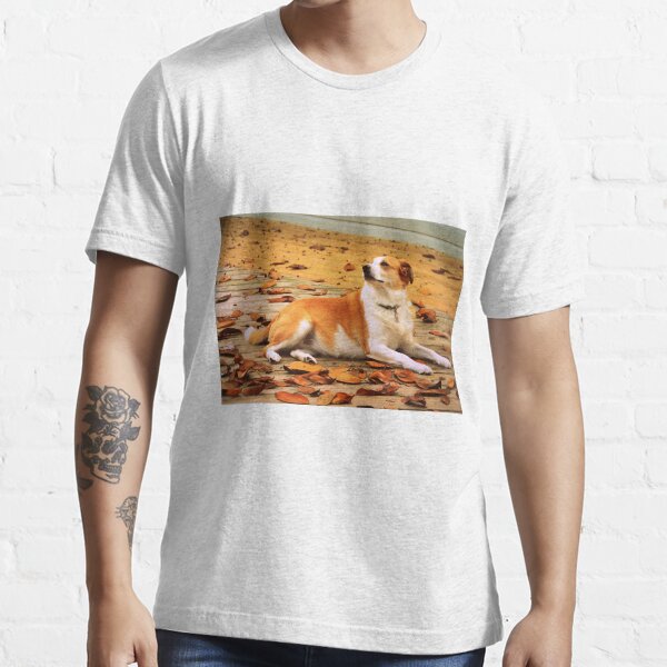 Essential T-Shirt