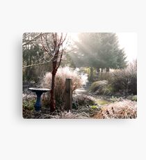 foggy morning Canvas Print