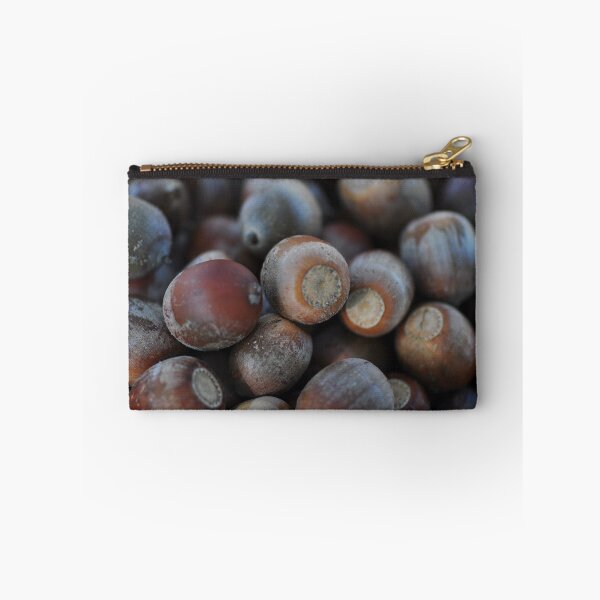 Item preview, Acorns - Squirel food  designed and sold by Poete100.