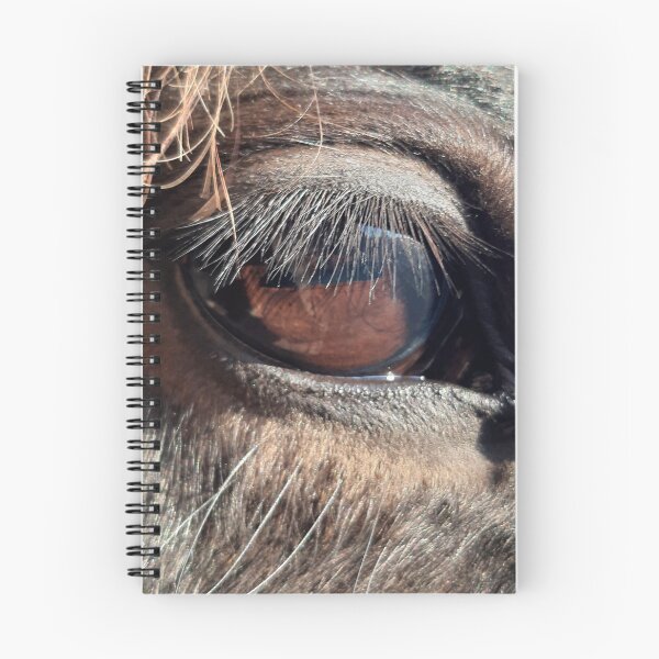 Item preview, Horse eye designed and sold by LucySpearing14.