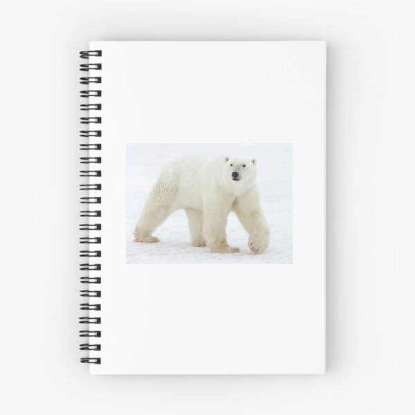Item preview, Polar Bear designed and sold by mjammer.