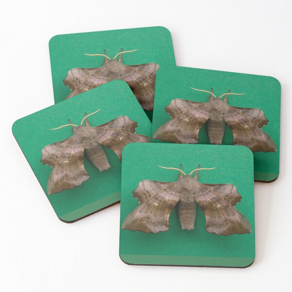 Item preview, Poplar Hawkmoth designed and sold by Dan Newton.