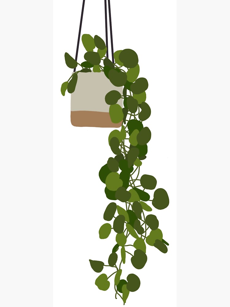 "Beautiful Hanging Plant" Sticker for Sale by madichildss Redbubble