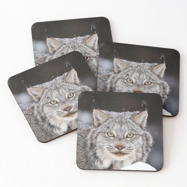Item preview, Canada Lynx designed and sold by mlorenz.
