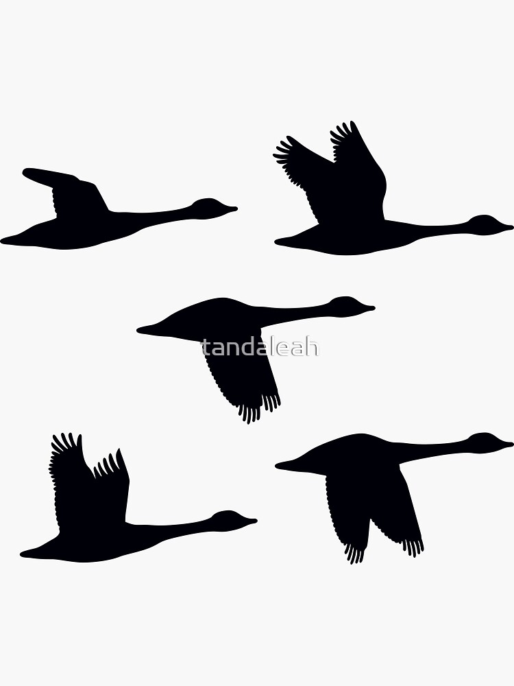 Five Silhoutte Canadian Geese In Flight Different Poses Sticker For