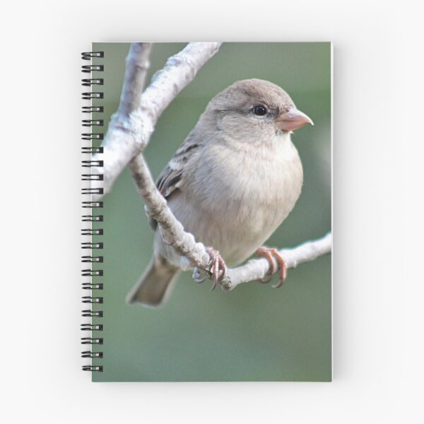 Item preview, Female house sparrow designed and sold by Linda Crockett.