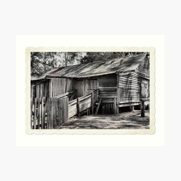 The Shearing Shed - Australiana Pioneer Village Wilberforce NSW Australia Art Print