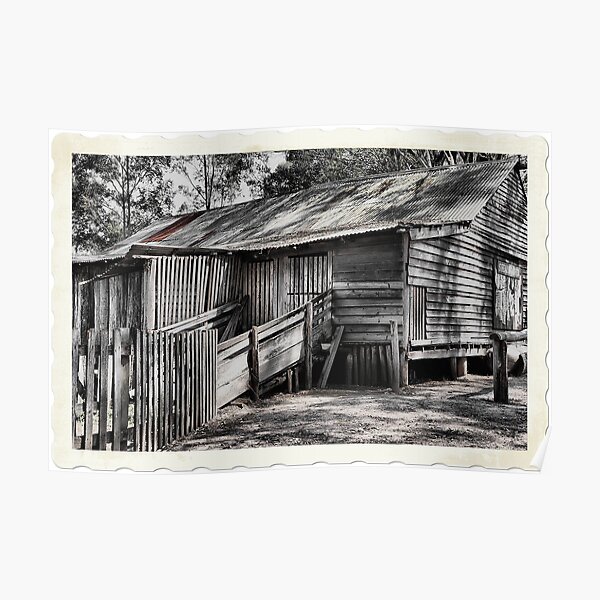 The Shearing Shed - Australiana Pioneer Village Wilberforce NSW Australia Poster