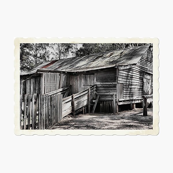 The Shearing Shed - Australiana Pioneer Village Wilberforce NSW Australia Photographic Print
