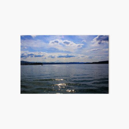 Lake Zurich Art Board Print