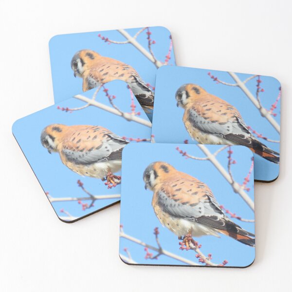 Item preview, American Kestrel (Falco Sparverius) designed and sold by LJSparvero.