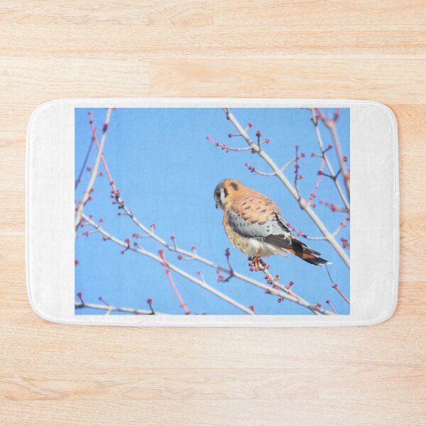 Item preview, American Kestrel (Falco Sparverius) designed and sold by LJSparvero.