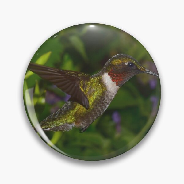 Item preview, Male Ruby-Throated Hummingbird in flight designed and sold by LJSparvero.