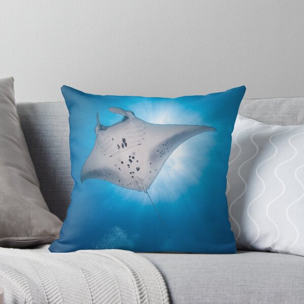 Item preview, Manta Ray flyover designed and sold by Ollieunderwater.