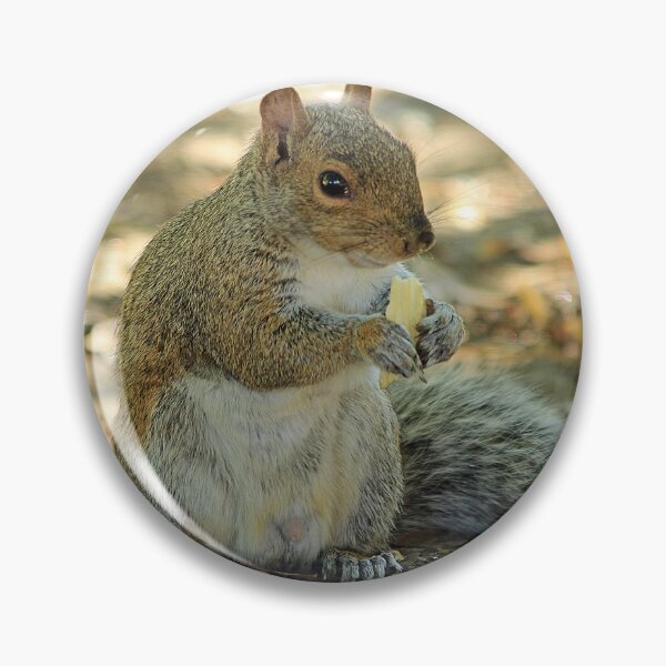 Item preview, squirrel designed and sold by Astralia.