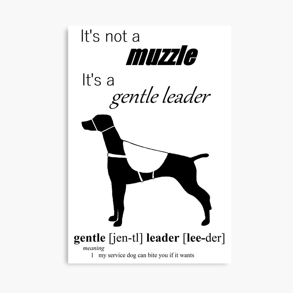 gentle leader muzzle for dogs