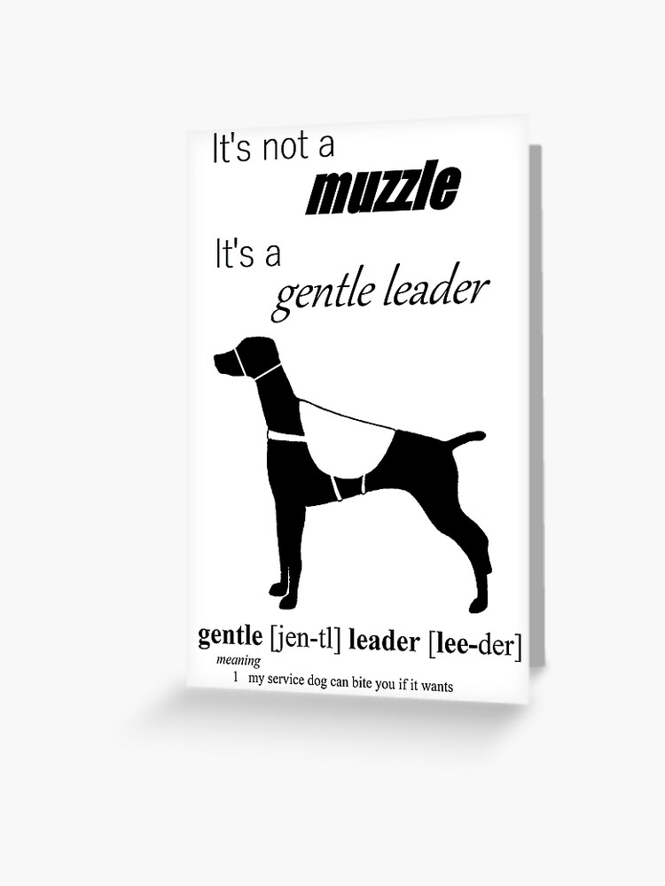 gentle leader muzzle