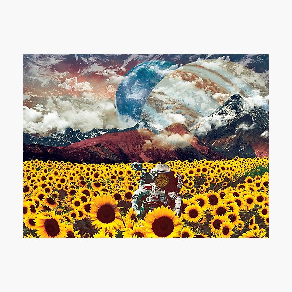 Astronaut lost in a galaxy of sunflowers Photographic Print