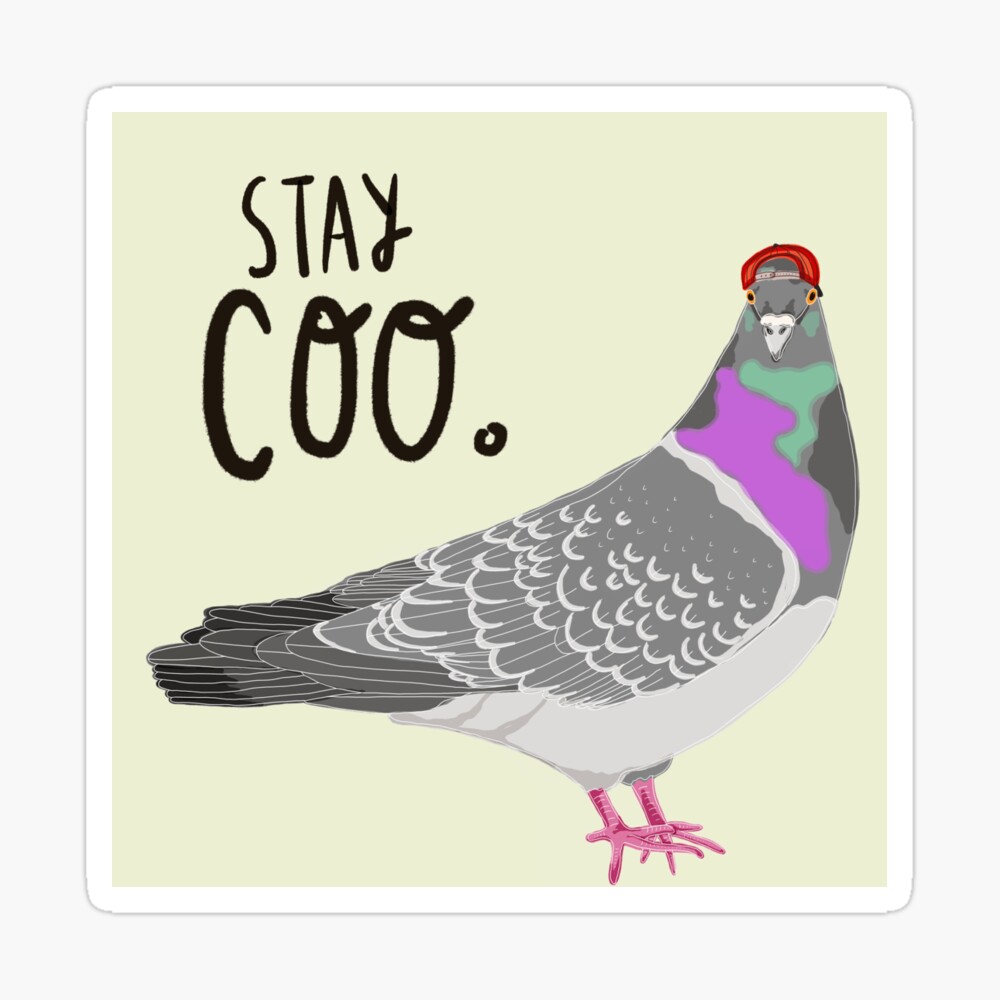 Stay Coo Funny Pigeon Bird Wearing Sunglasses T-Shirt