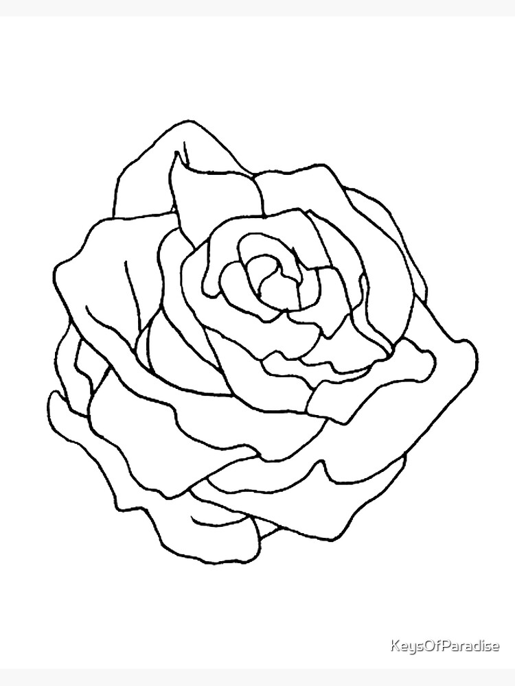 How to Draw a Rose Bud - DrawingNow