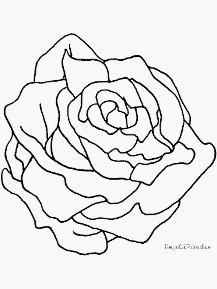 Hand Drawn Rose Bud On Image & Photo (Free Trial) | Bigstock