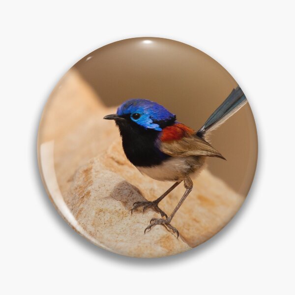 Item preview, Wren On The Range designed and sold by CBoyle.